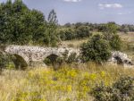 Puente de Valimbre .jpg